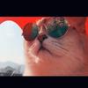 Millie Lawson - @balalahoo - TikTok