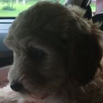 Millie Rose Levin - @millie_rose_levin - Instagram