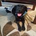 Millie Lewis - Facebook