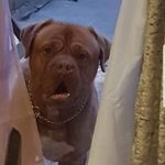 millie lewis - @millielewis467 - Instagram