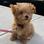 Millie Light - @bigcitylittlemillie - Instagram