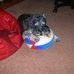Millie Light - Facebook