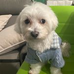 Millie Lin - @millie_lin - Instagram