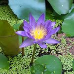 Millie Lin - @millie.lin.520 - Instagram