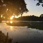 Millie - @millie_lines - Instagram