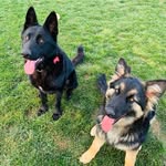 🅻🅸🅽🅺🅸🅽 , 𝓜𝓲𝓵𝓵𝓲𝓮 - @thelifeof.linkin.and.millie - Instagram