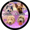 ✨ #MINDIE & #LINNIE ✨ - @indie.max..millie.link - TikTok