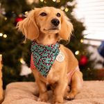 Millie Downing - @a.millie.little.things - Instagram