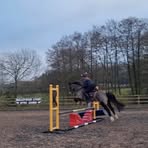 Millie Little - Facebook