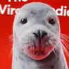 user5597014248019 - @millielouiselockwood - TikTok