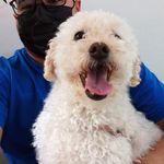 Milly Lombardi - @millylombardioficial - Instagram
