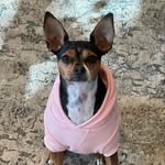 @millie_longlegs - Instagram