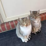 Millie Lott - Facebook