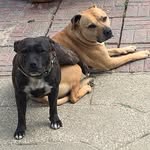 Millie_lott_ipad - @millie_lott_ipad - Instagram