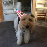 Millie Lovett - @millie_lovett - Instagram