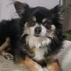 lucas_Millie - @lucas_millie - TikTok