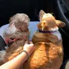 millieandlucas_ - @millieandlucas_ - TikTok