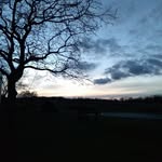 millie mann - @ud0n0tkn0wwh0 - Instagram