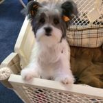 Millie Marks - @milliedurhamnc - Instagram