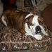 Millie Mayfield - Facebook