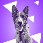 Millie Mabel McAllister - @millie.mabel.mc - Instagram
