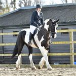 Millie McAllister - @mm_equestrian_mm - Instagram