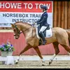 Millie ✌🏼 - @milliemcbridedressage1 - TikTok
