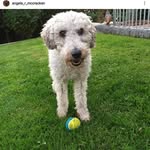 Millie McCracken - @millieshsurvivor - Instagram