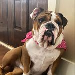 Millie Miller - @good_girl_millie_ - Instagram