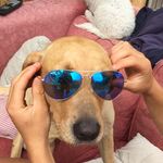 Millie_miller - @millie._.miller1 - Instagram