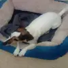 Millie Newman - @newman.millie - TikTok