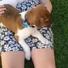 millie Nicholson - @millie.nicholson - TikTok