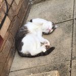 @millie._.palmer - Instagram