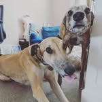 Millie & Parker - @millie.parker.longbodies - Instagram