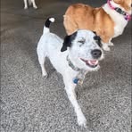 Millie Park - Facebook