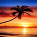 Millie Reed - Facebook