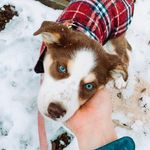Millie Reed - @my.lil.millie - Instagram