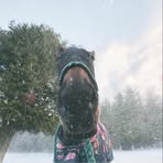 Miley Riddle - Facebook
