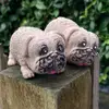 riddle_millie_the_pugs - @riddle_milliethepugs - TikTok