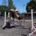 Millie Scott - Facebook