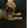 Millie Scott - @millie10xx - TikTok