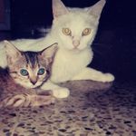 Milagros Serrano - @millie_serrano_43 - Instagram