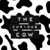 millie short - @thecuriouscow - TikTok