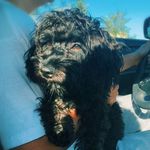 🤍Millie Simmons🤍 - @_millie_simmons_ - Instagram