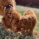 Millie Jane Sinclair - @millieandthemagnificents - Instagram