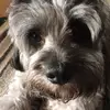 Millie sinclair - @millie.dabs - TikTok