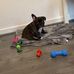 Millie Smith - Facebook