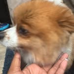 Millie Stallings - @yog.irlteetee - Instagram