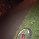 Millie Sumner - @mil_sumner.465 - Instagram