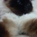 Millie Tate - Facebook
